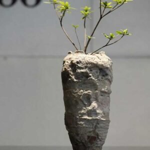marble vase